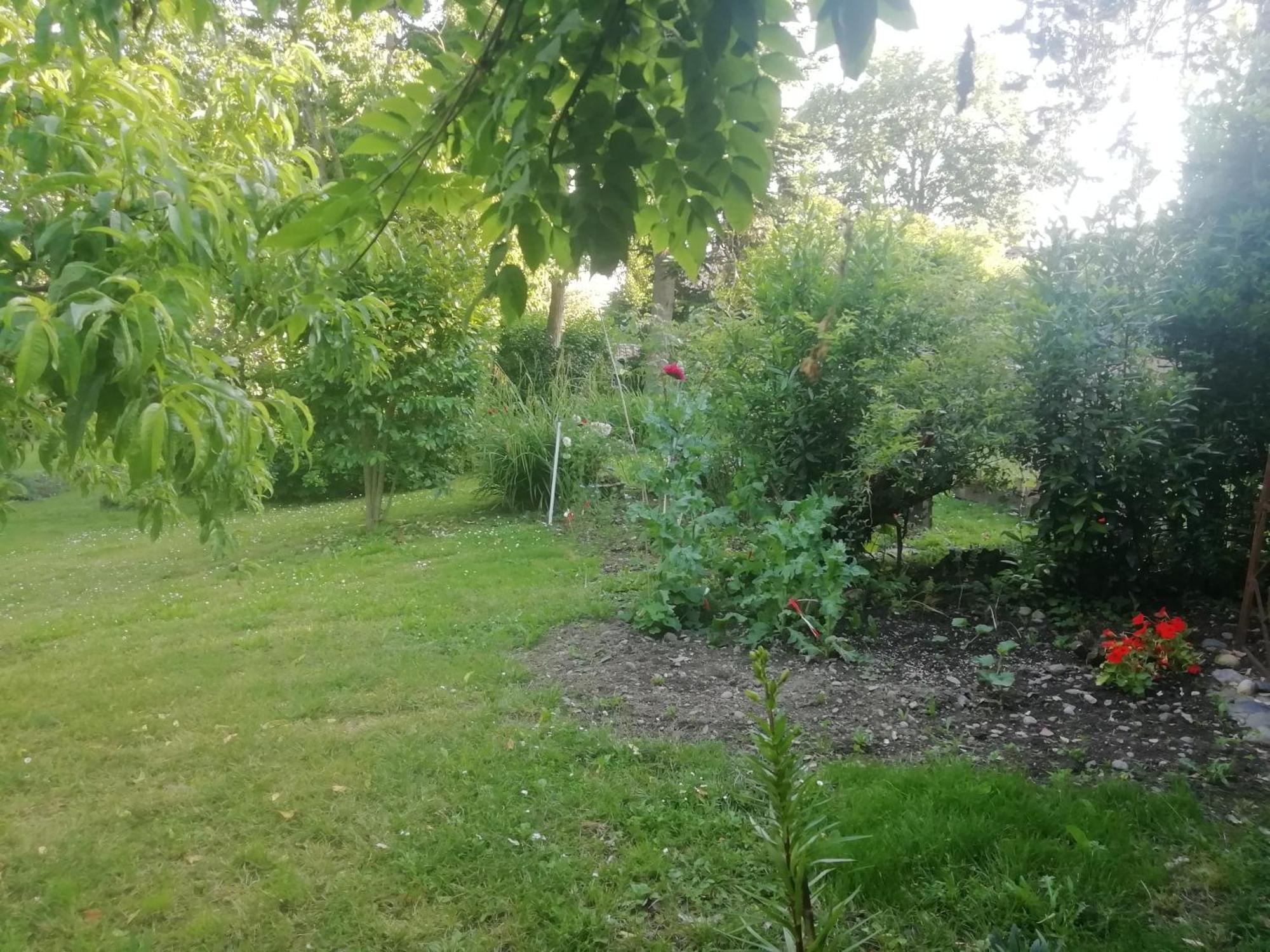 Saint-Elix-le-Chateau Mirguet Au Jardin 아파트 외부 사진